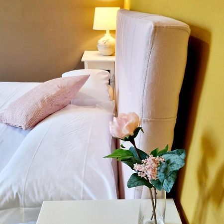 Rose Guest House Pisa Exterior foto