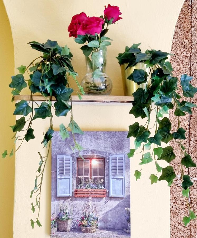 Rose Guest House Pisa Exterior foto