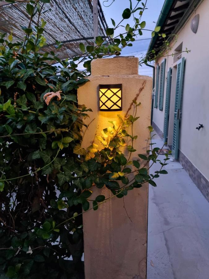 Rose Guest House Pisa Exterior foto